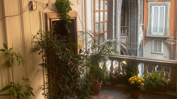 Un patio con macetas, suelo de baldosas y vistas a edificios adyacentes con balcones.