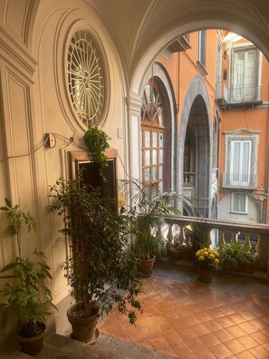 Une cour intérieure agrémentée de plantes en pot, dotée d’un sol carrelé et offrant une vue sur les bâtiments voisins, qui sont tous pourvus de balcons.