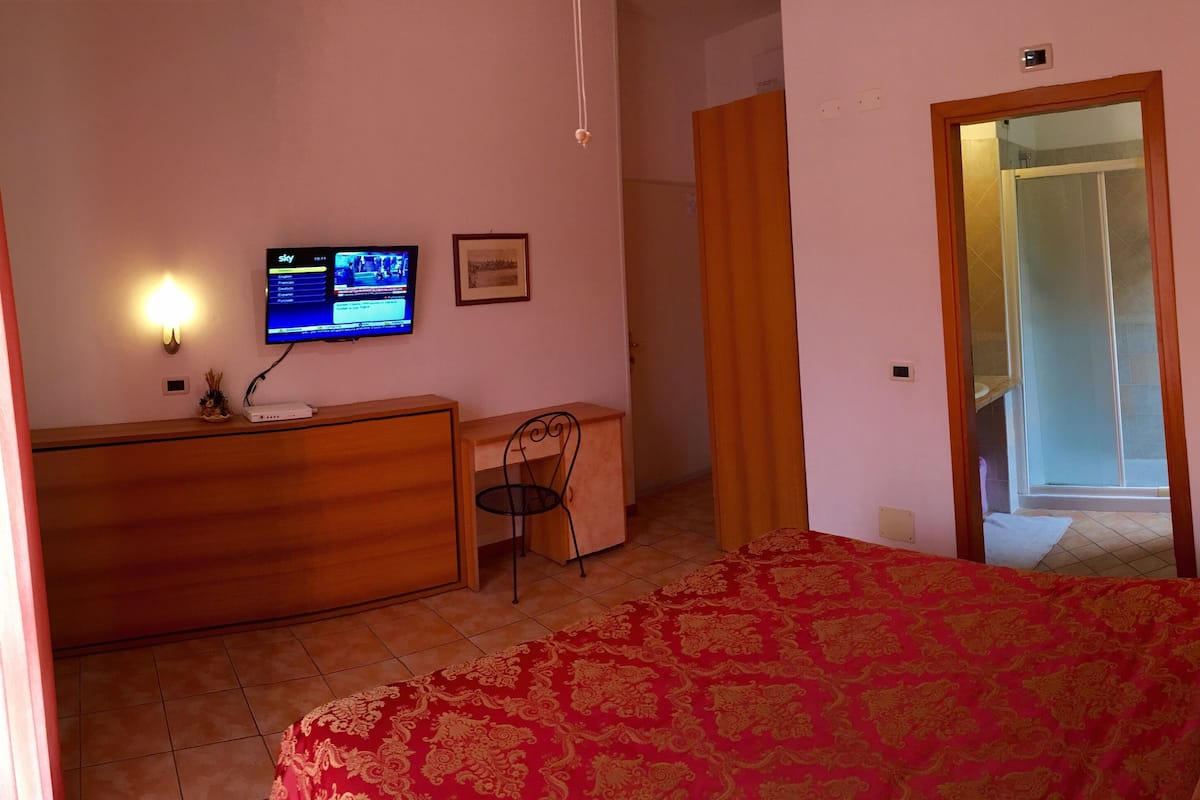 A hotel room with a bed, a desk, a television, and a shower area.