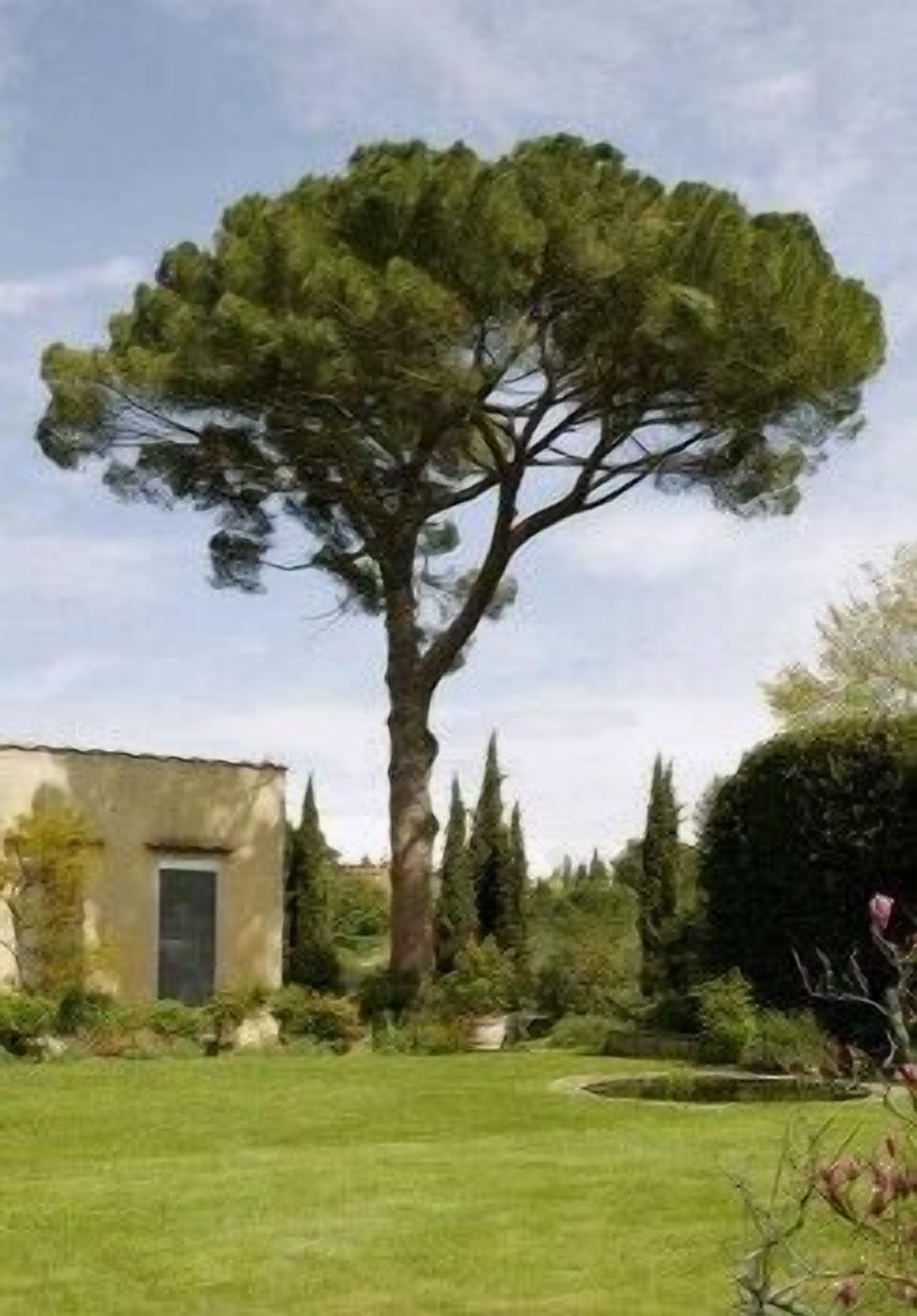 Parco della struttura