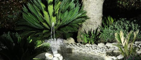 A garden with a pond, rocks, and various plants.