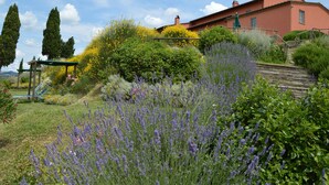 A red house with a garden featuring lavender and yellow flowers, a wooden bench, and a green pergola. - Podere Benintendi (Certaldo)