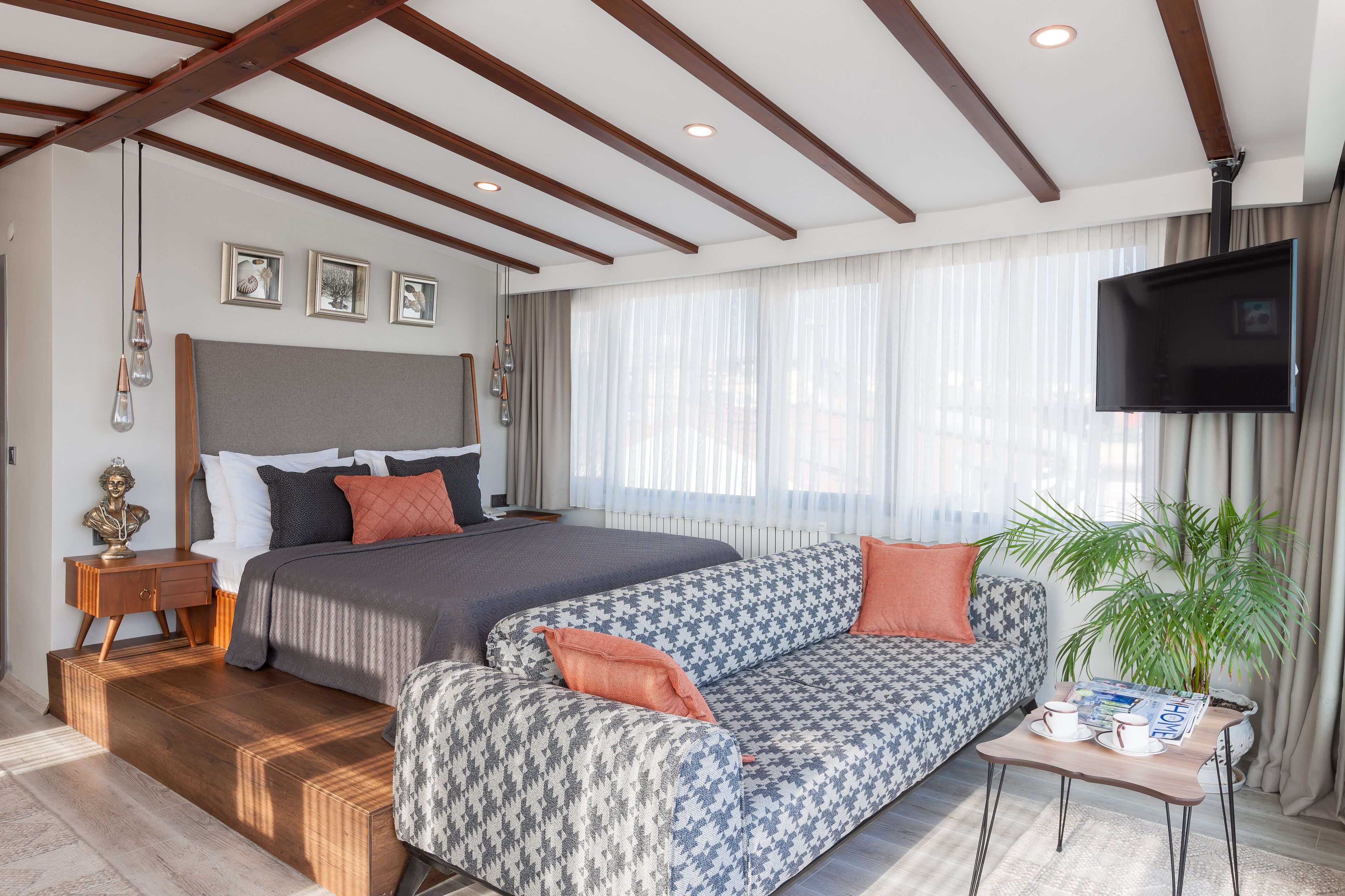 A modern hotel room with a large bed, a sofa, a TV, and a potted plant.