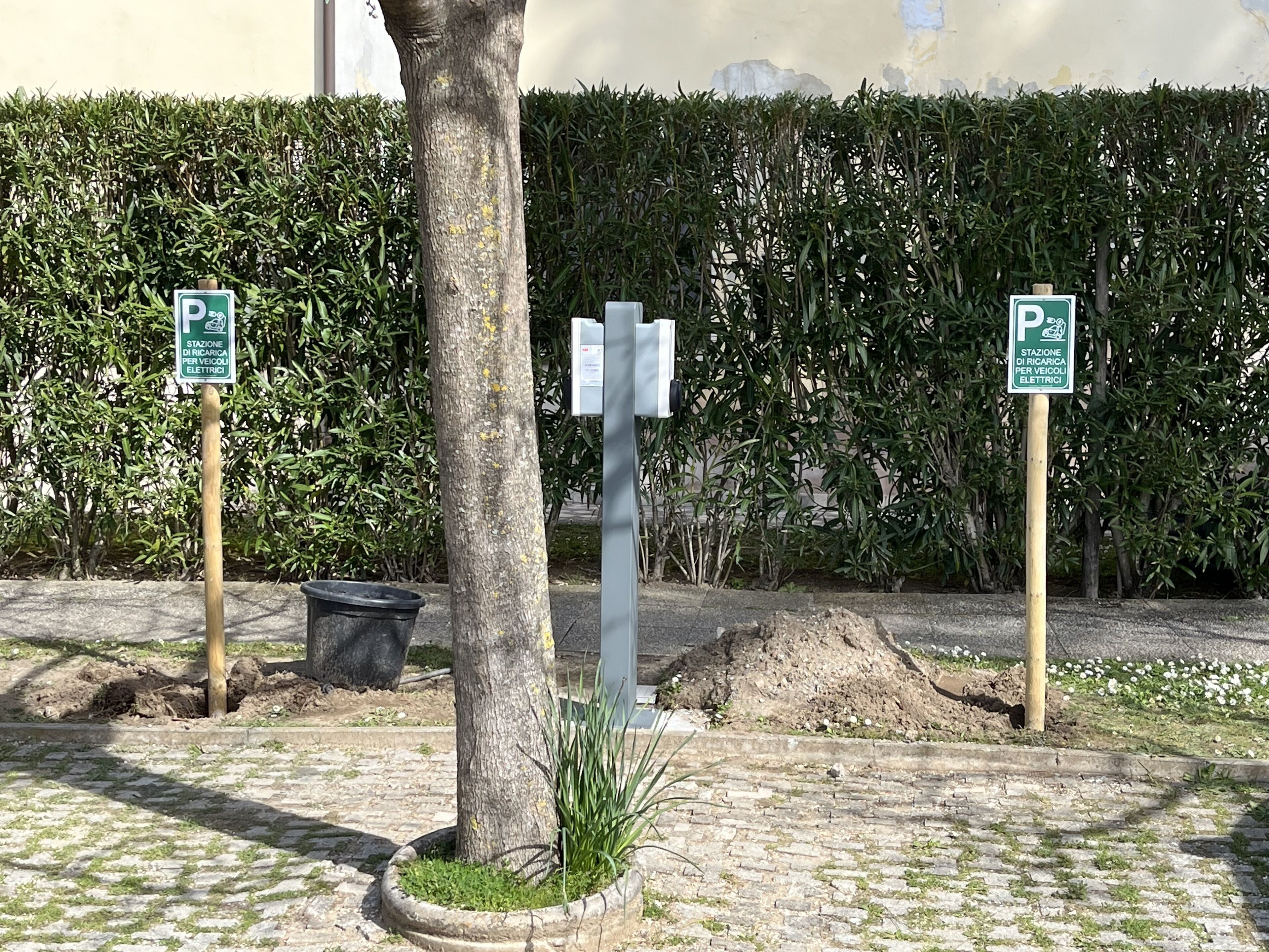 A parking sign with a tree and a hedge in the background.