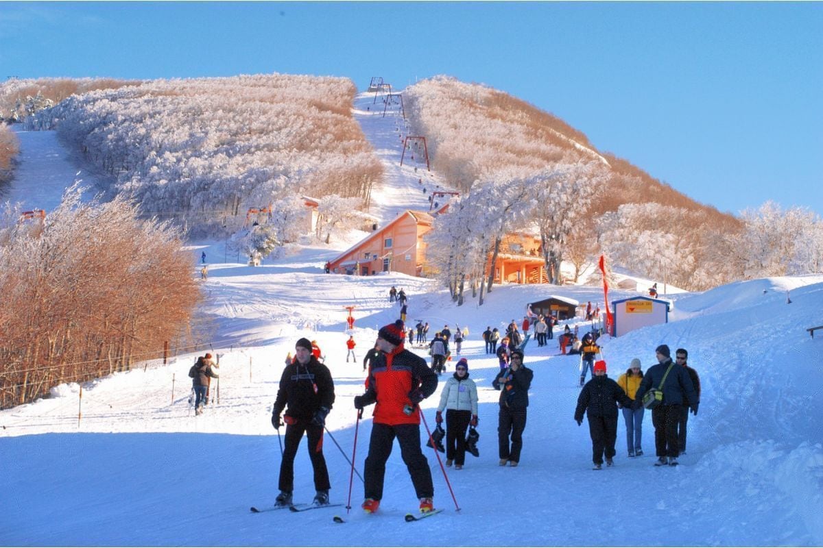 雪地及滑雪運動