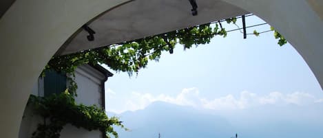 Spécialités Cuisine internationale, restauration en plein air