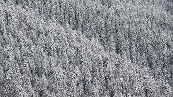 Vue sur les montagnes