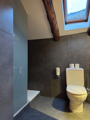Shower, free toiletries, hair dryer, towels - Hotel Bruxelles (Soldeu)