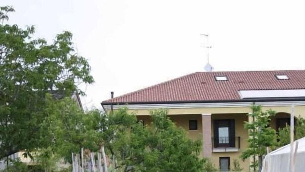 A residential garden with various plants and a house in the background. - Ca' Florian (Zero Branco)
