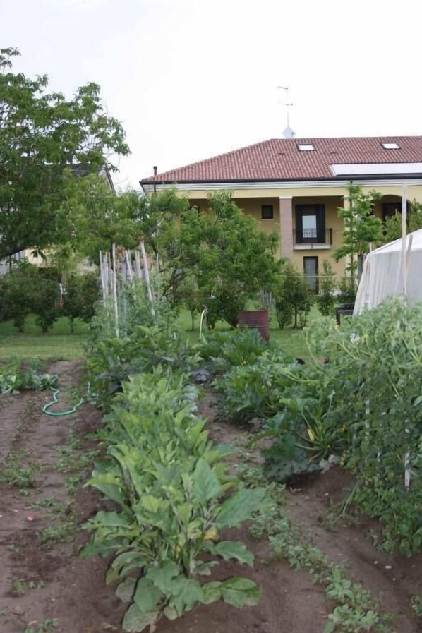 Property grounds - Ca' Florian (Zero Branco)