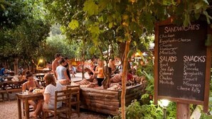 An outdoor dining area with wooden tables and chairs, surrounded by greenery. A chalkboard menu lists sandwiches, salads, and snacks. - Bayrams Tree Houses (Kumluca)