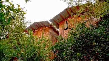 Tree House Double Use ( No Air Conditioner, No Toilet, No Bathroom in room) | Premium bedding, free WiFi