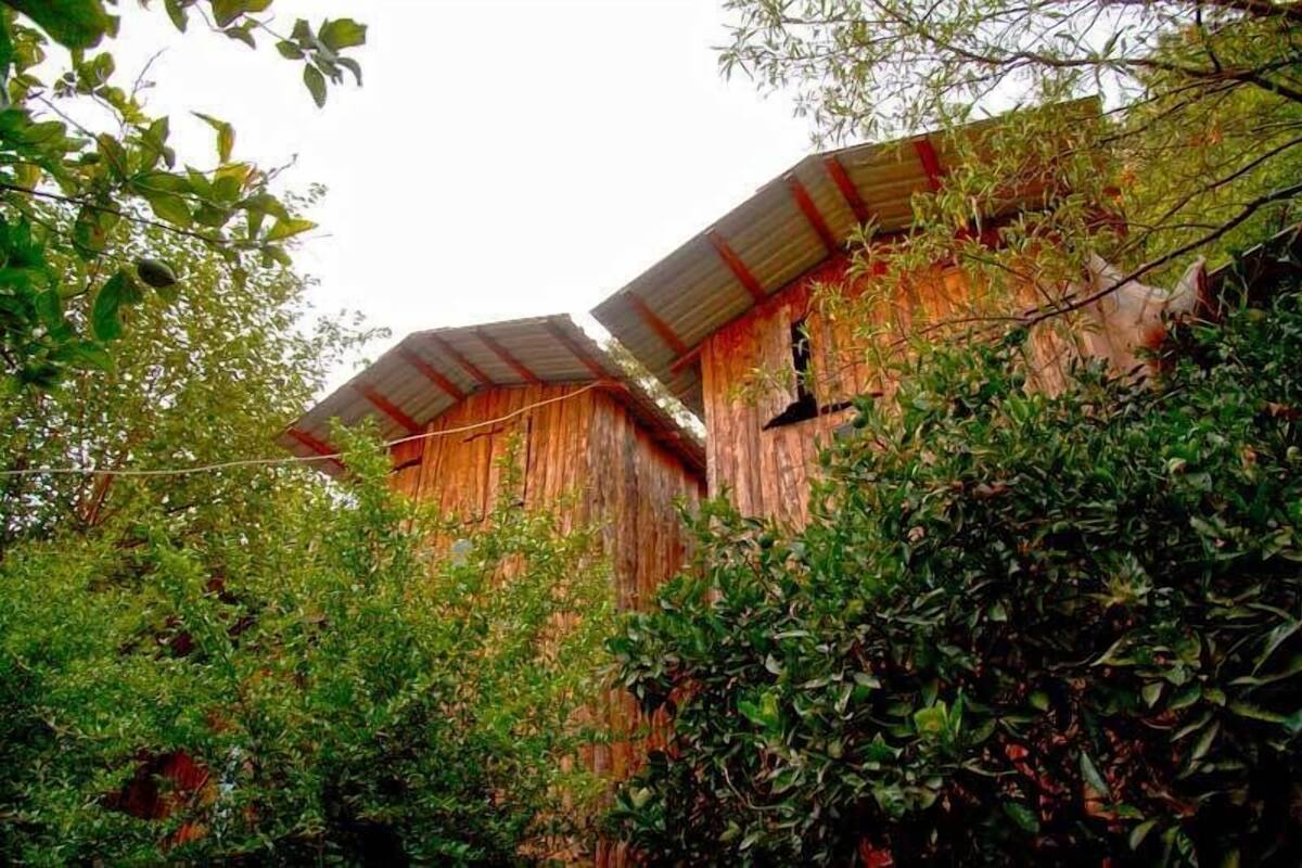 Una estructura de madera rústica con techo inclinado, rodeada de abundante follaje.