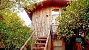 A rustic wooden cabin with a wooden staircase leading to a window. - Bayrams Tree Houses (Kumluca)