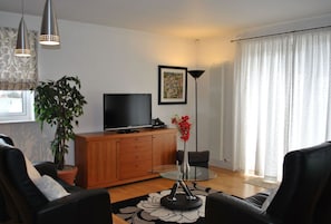 Flat-screen TV