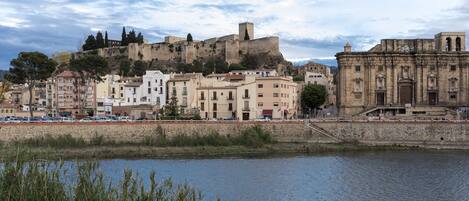 A historic cityscape with a prominent castle on a hill, a river in the foreground, and a mix of traditional and modern buildings.