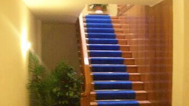 A staircase with blue carpeted steps leading to a landing. - Torre Clementina (Fiumicino)