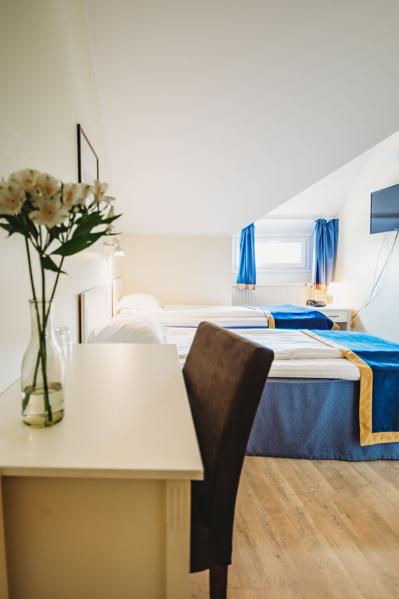 Foto - Economy Hotel