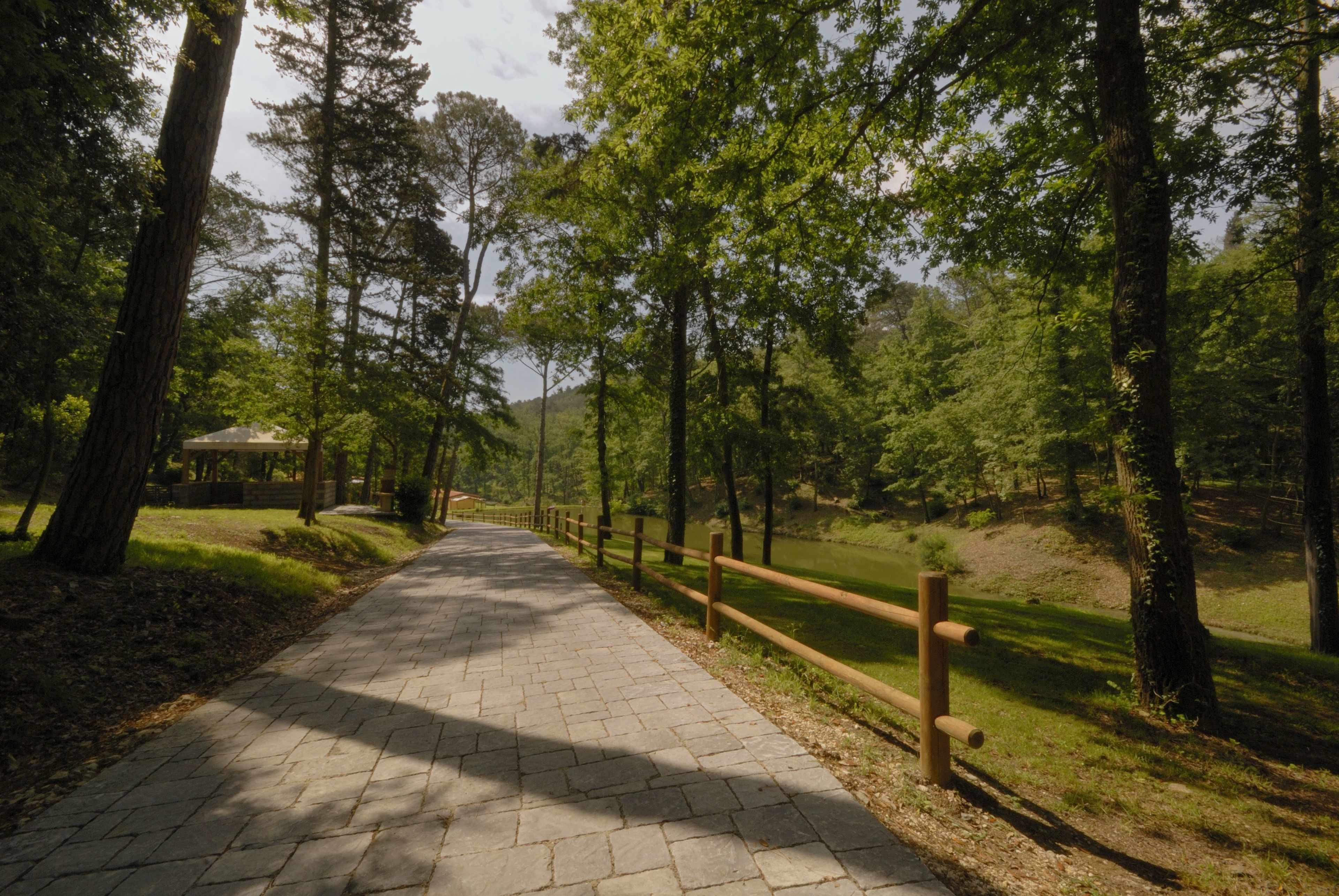 A paved pathway with wooden railings, surrounded by trees and grassy areas.