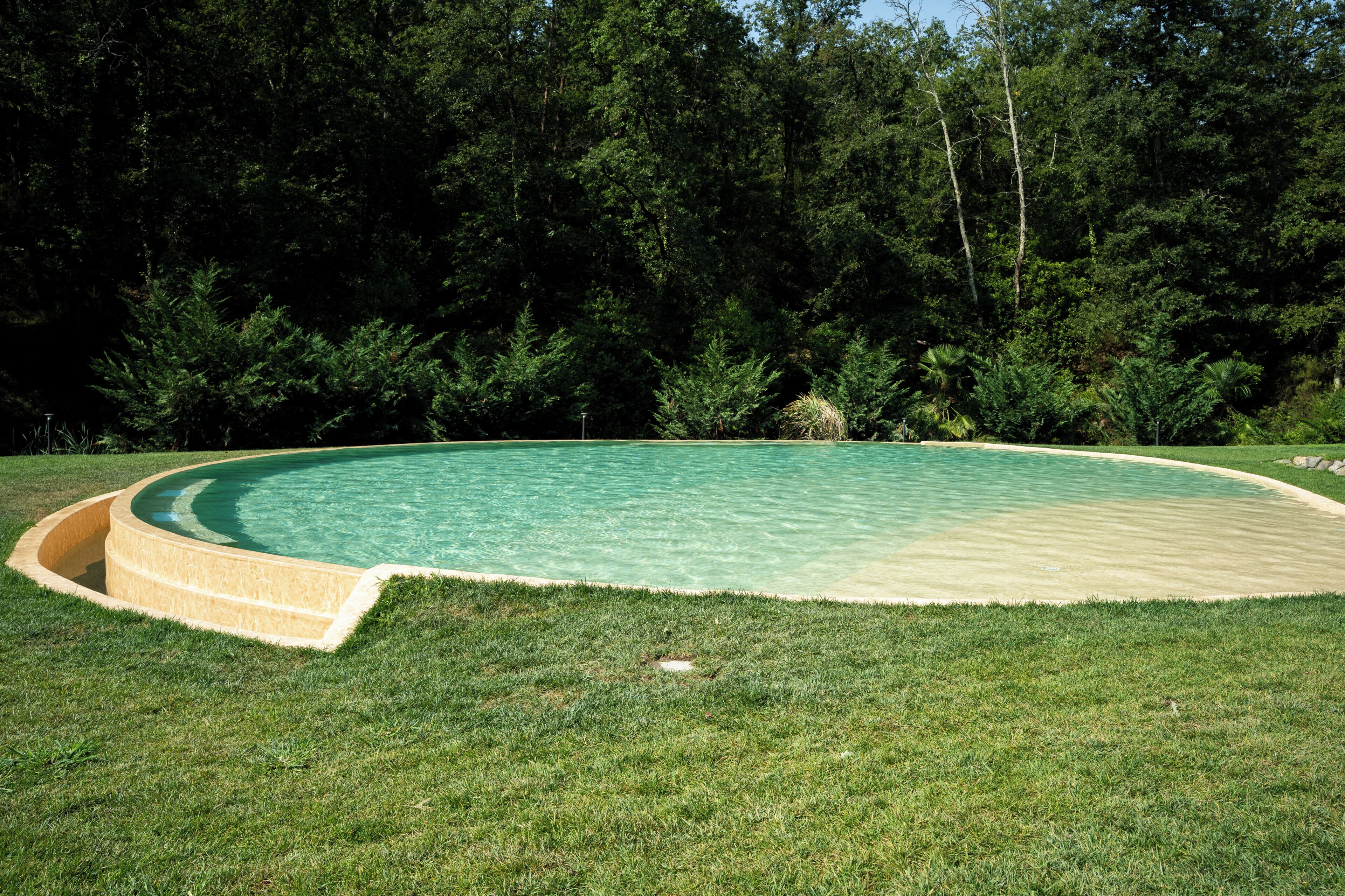 A circular swimming pool with a grassy border and a forest backdrop.
