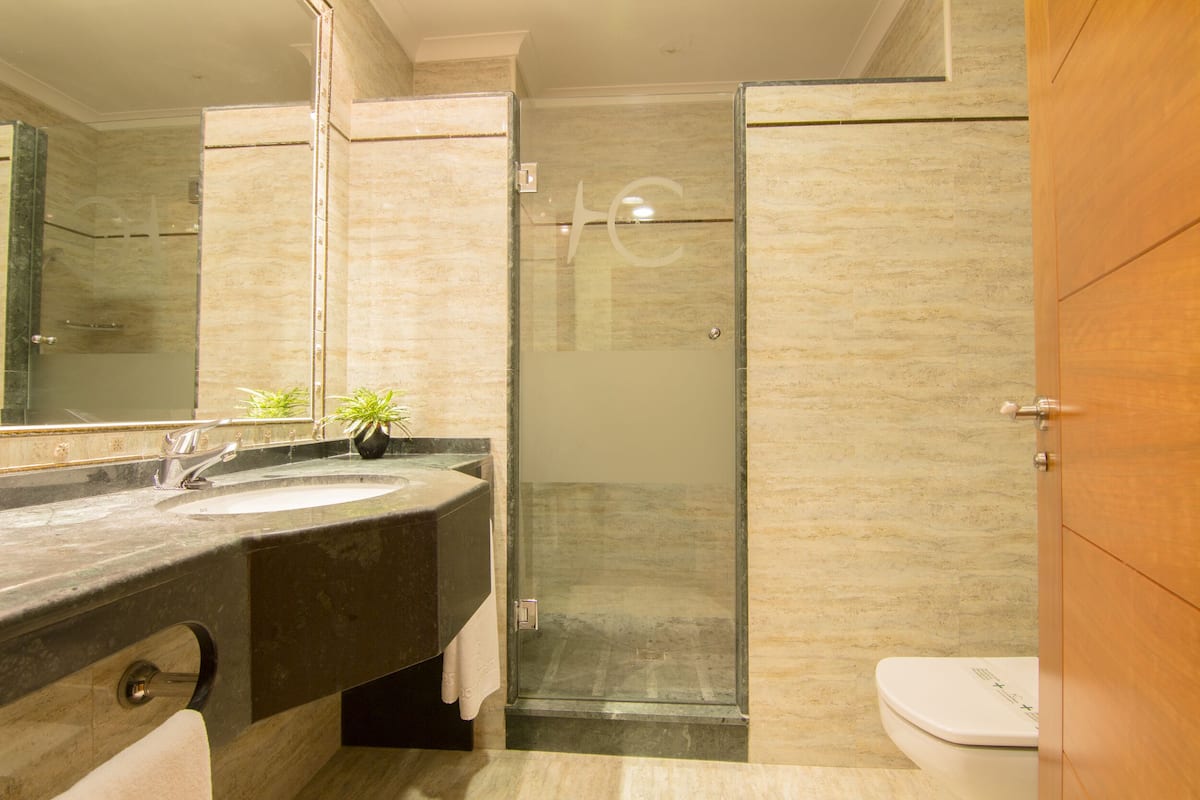 free toiletries, hair dryer, bidet, towels