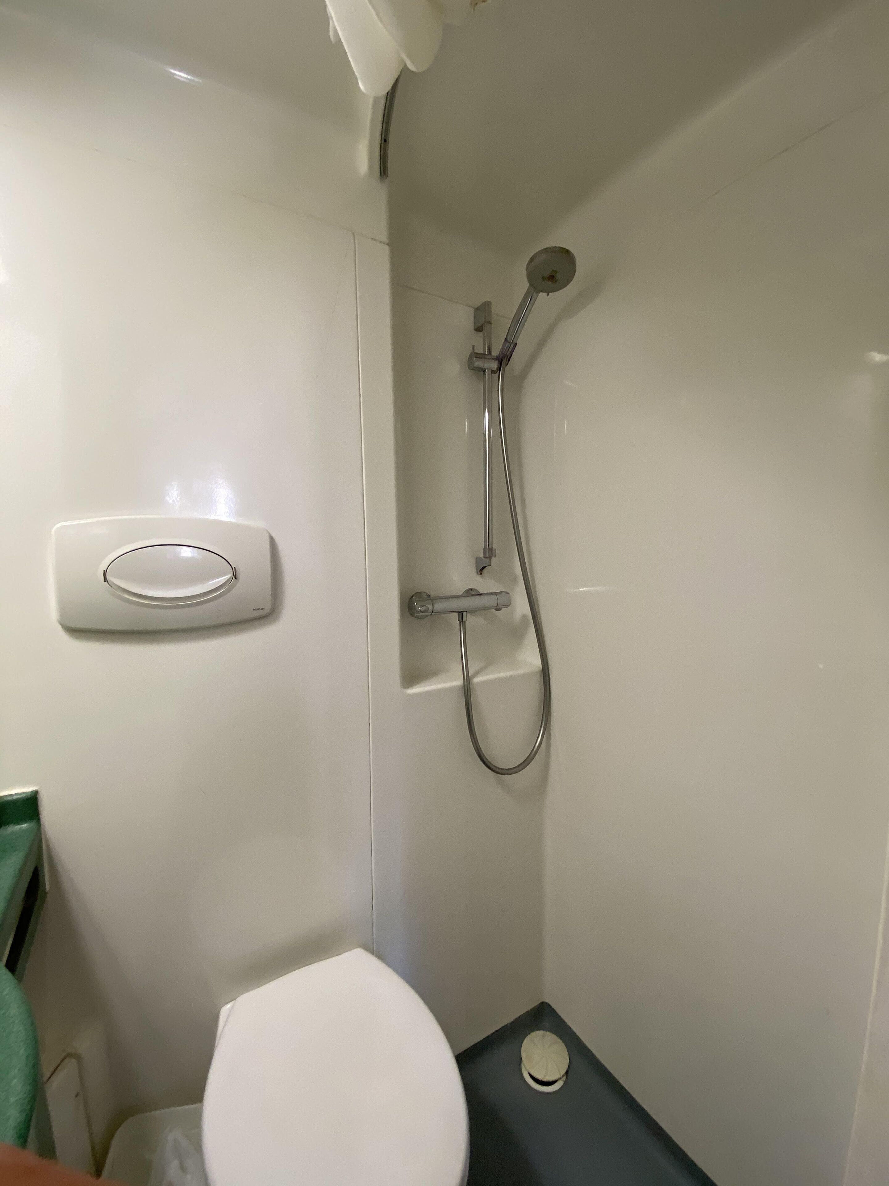 A small, white bathroom with a toilet, a shower with a handheld showerhead, and a wall-mounted toilet paper holder.