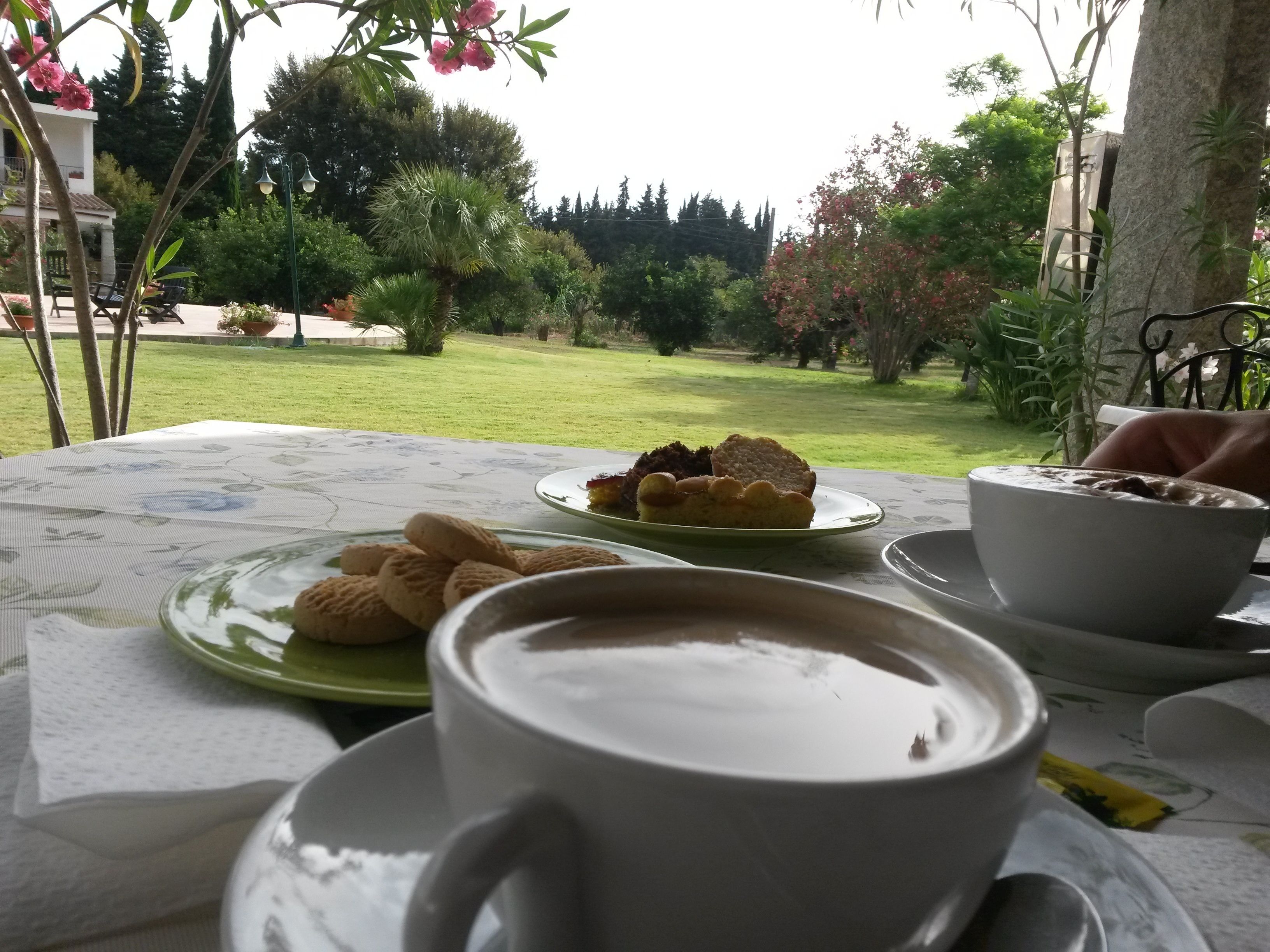 Una mesa con una taza de café, un plato de galletas y un tazón de sopa, colocada al aire libre con vista a un jardín y árboles.