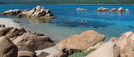 Vlak bij het strand