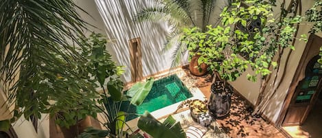 Chambre Standard | Terrasse/Patio