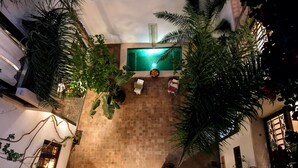 Terraza en la azotea con piscina, rodeada de plantas en macetas y suelo de baldosas.