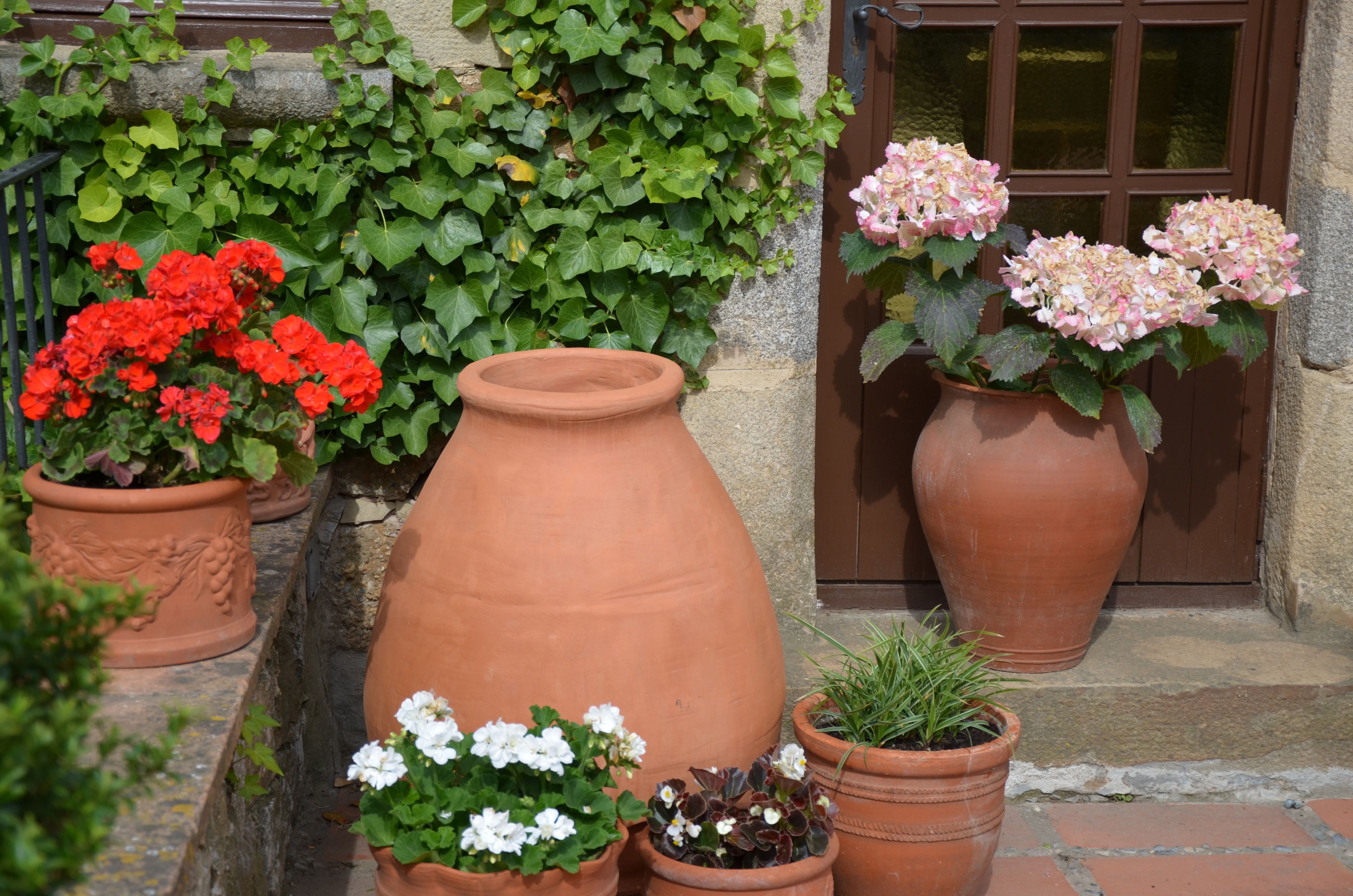 Photo - Hotel Galena Mas Comangau