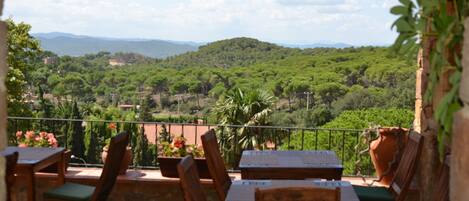 Una terraza con mobiliario de madera y plantas en macetas, con vistas a un paisaje verde y exuberante con colinas y cielo despejado.