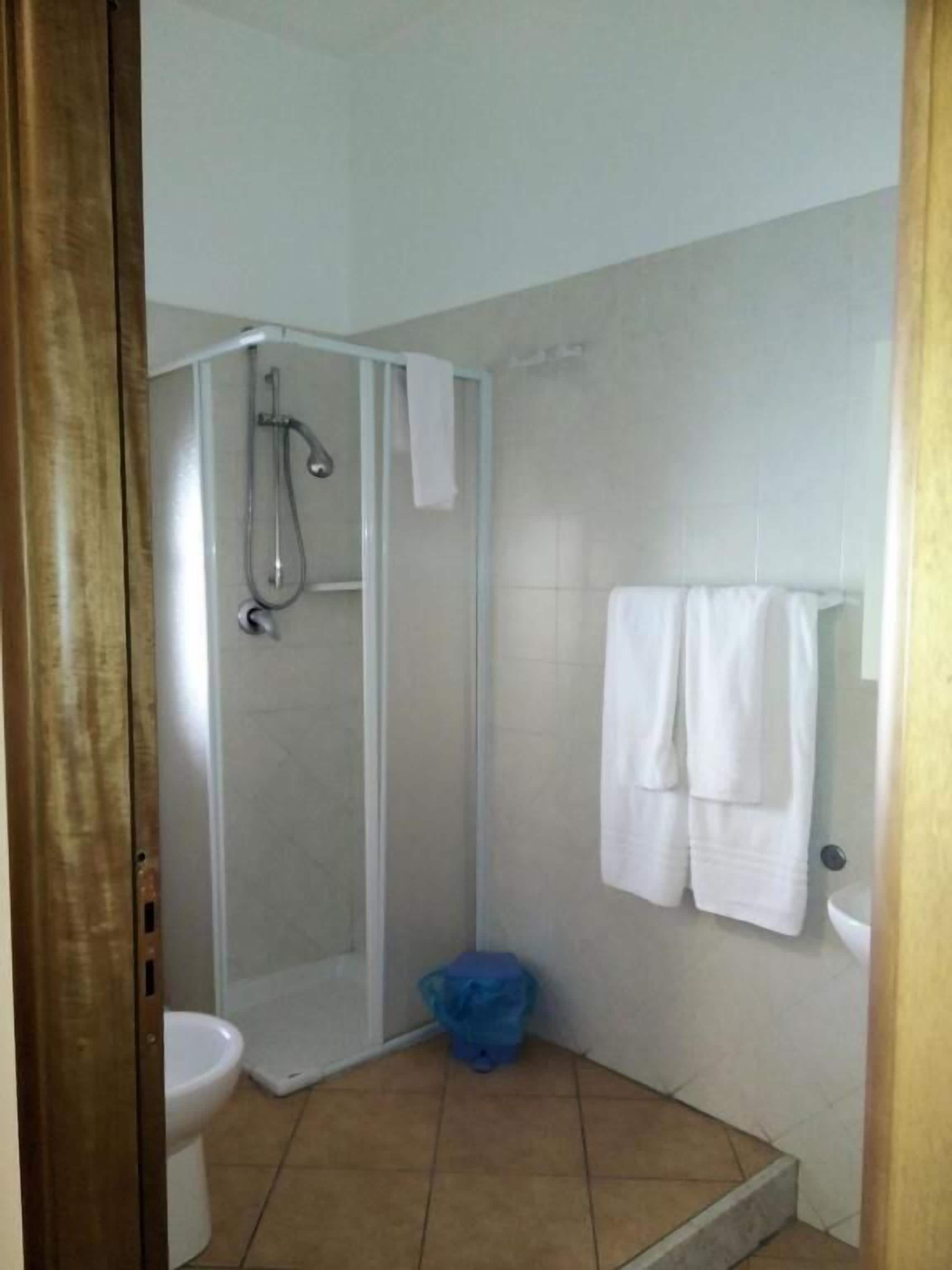 free toiletries, hair dryer, bidet, towels