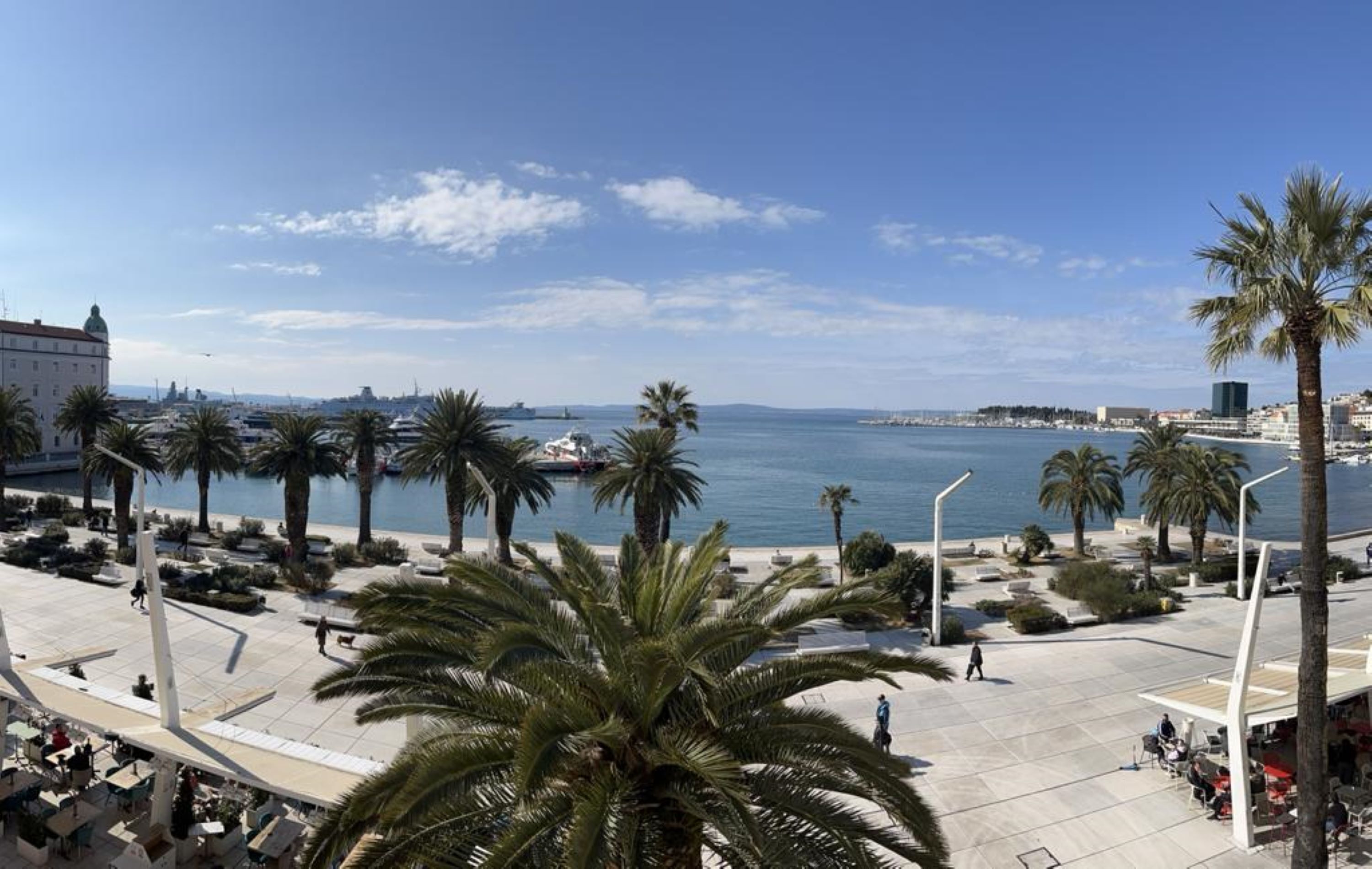 A coastal promenade with palm trees, a marina, and a large building with a dome.