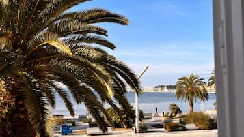 A terrace with palm trees, outdoor seating, and a view of the sea.