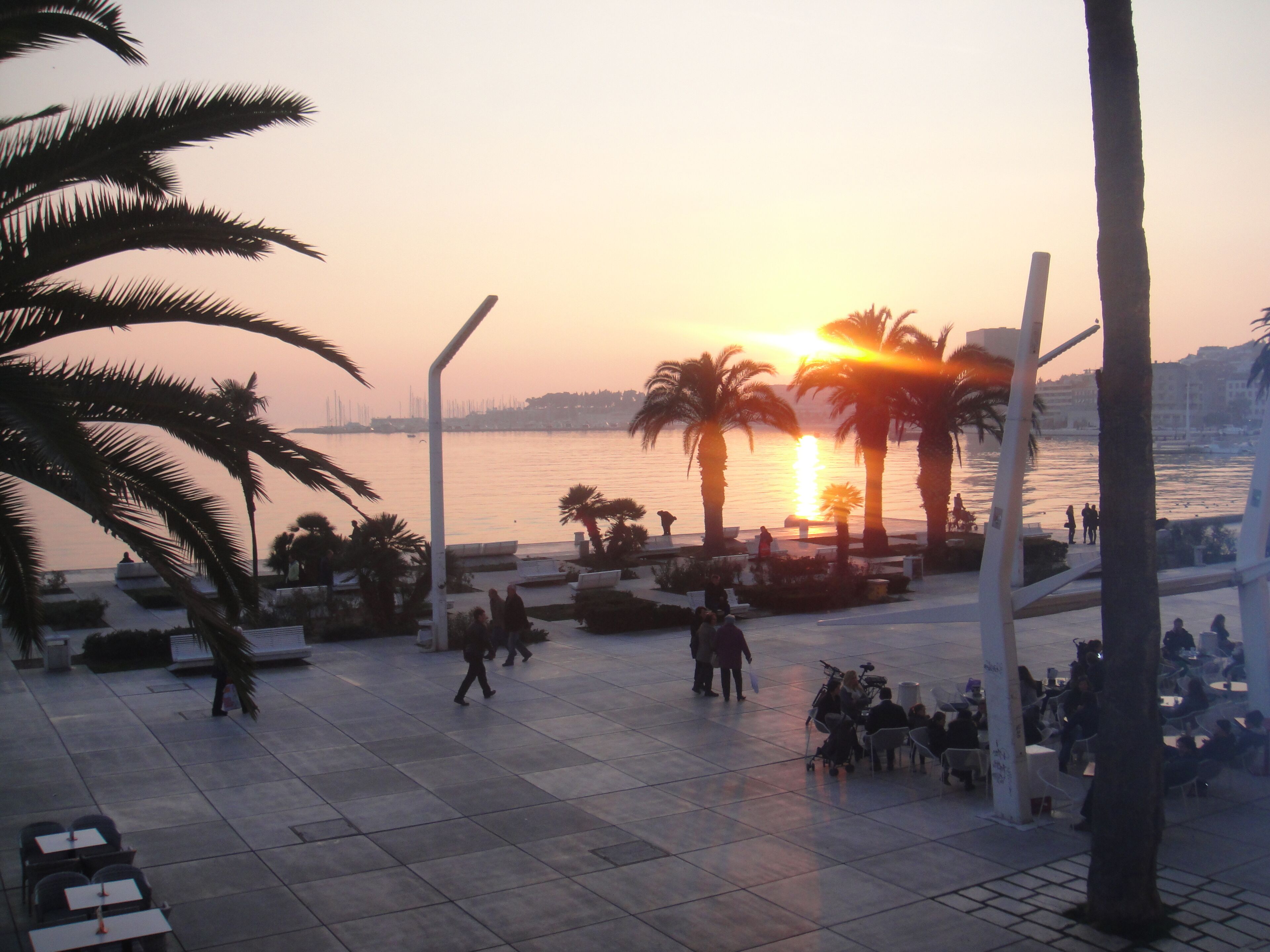 A waterfront promenade with palm trees, seating areas, and people walking.