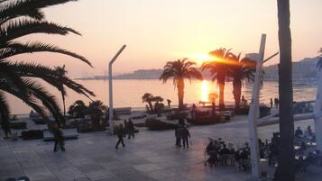 A waterfront promenade with palm trees, seating areas, and people walking.