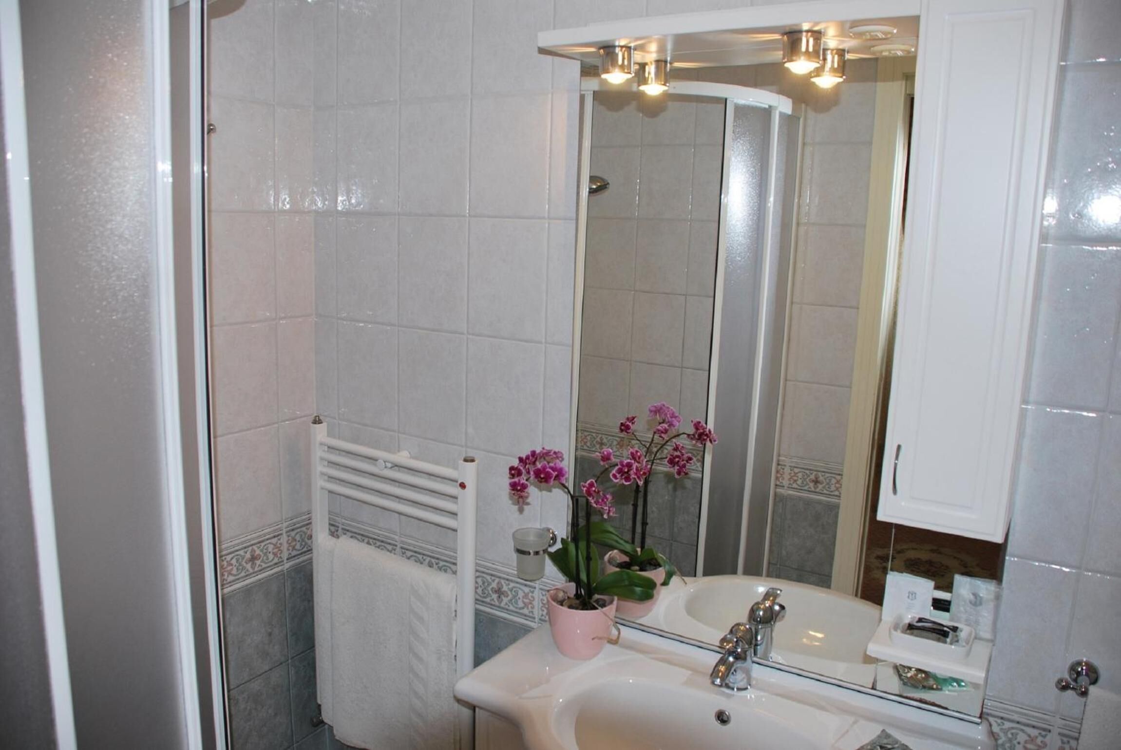 Une salle de bain avec un lavabo blanc, un miroir et une douche. On y trouve un porte-serviettes et une orchidée en pot sur le lavabo.