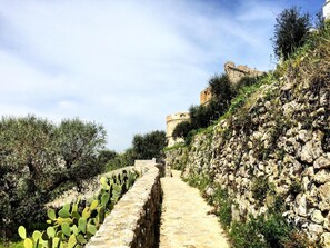Property grounds - B&B La Rosa Antica (Castro)