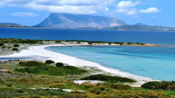 Un paisaje costero con una playa arenosa, un camino de madera y montañas al fondo.