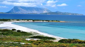 Beach nearby, white sand