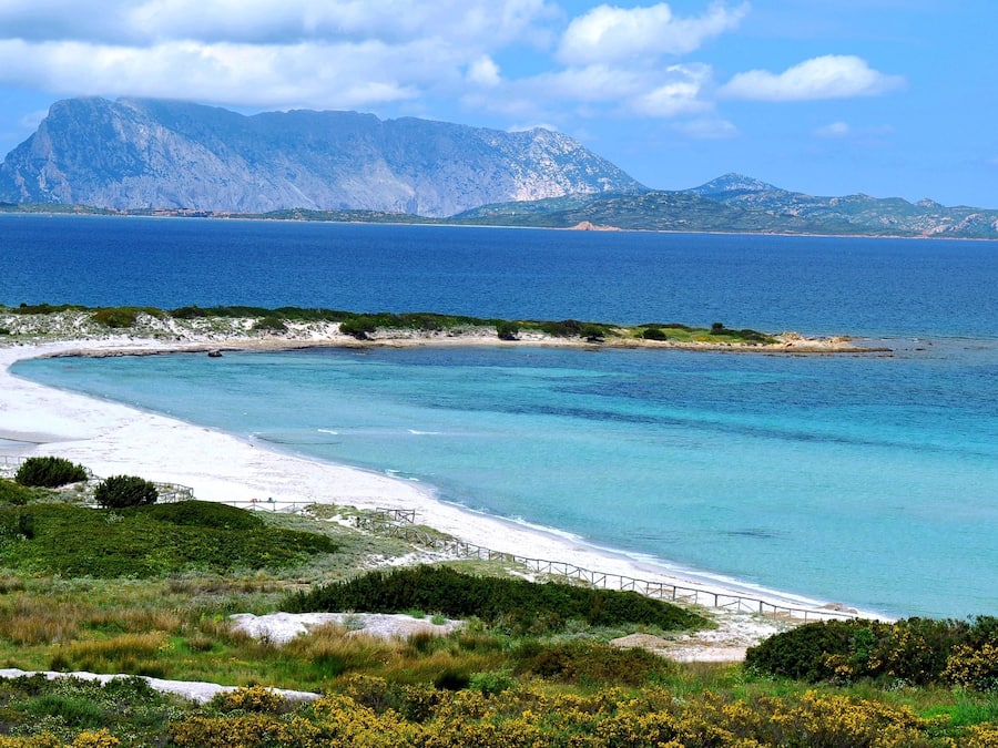 Beach nearby, white sand