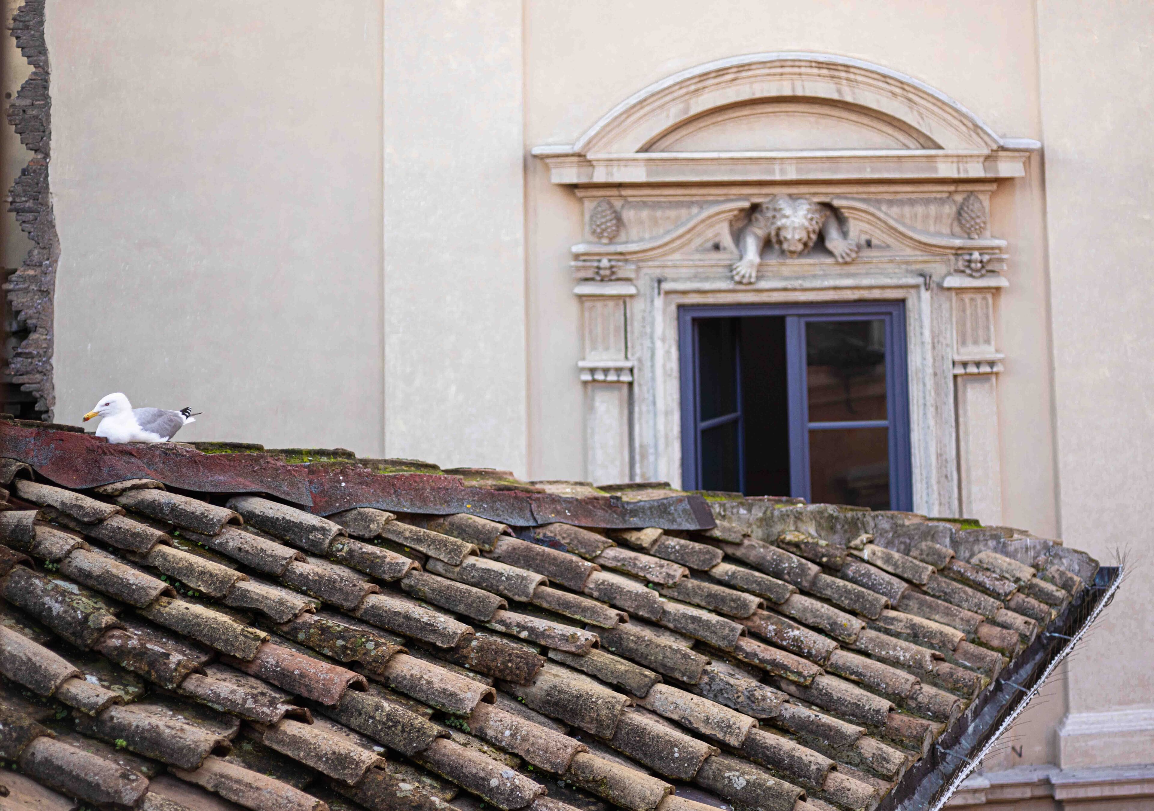 Foto - Casa De' Fiori