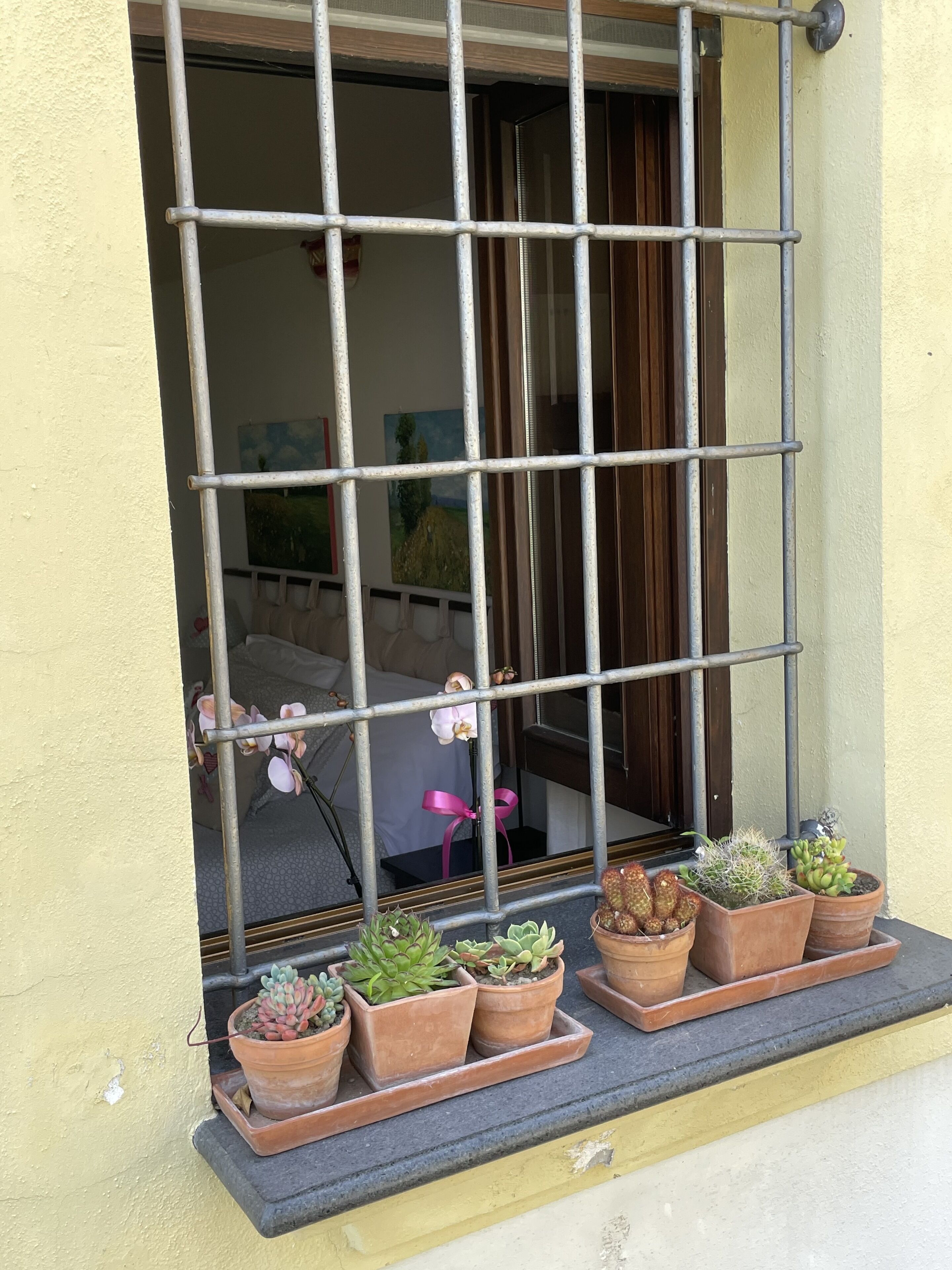 A window with metal bars, a balcony with terracotta pots containing various succulents, and a glimpse of the interior through the window.
