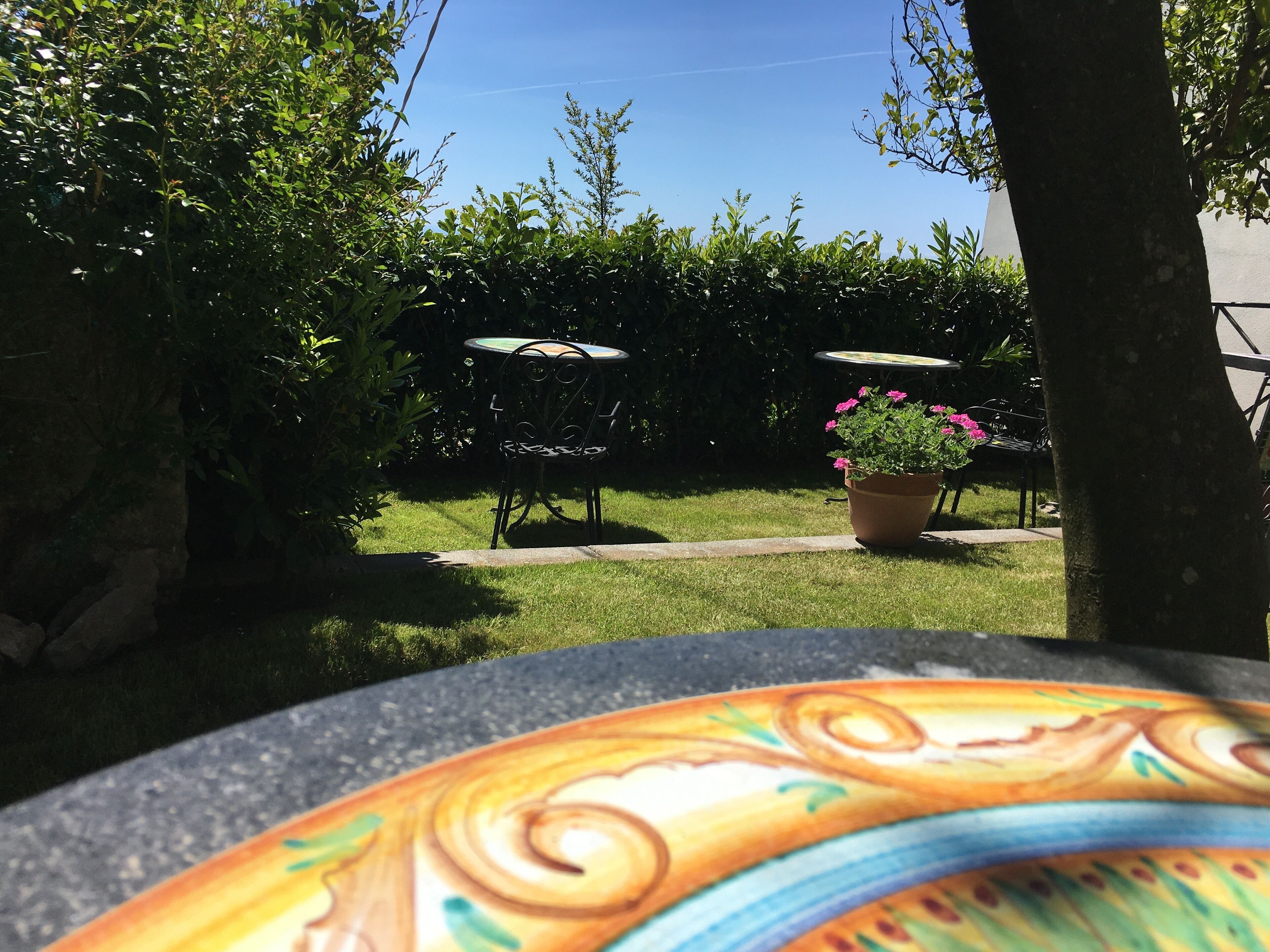 A garden with a table and chairs, a potted plant with pink flowers, and a tree.