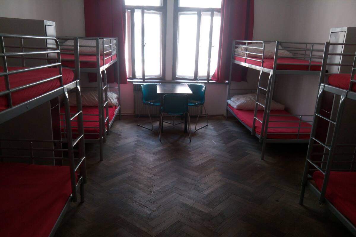 Shared Dormitory, Mixed Dorm | Peti besi dalam bilik, seterika/papan seterika, Wi-fi percuma
