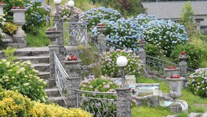 Un jardin agrémenté d’escaliers en pierre, de rampes en métal et de diverses plantes à fleurs.
