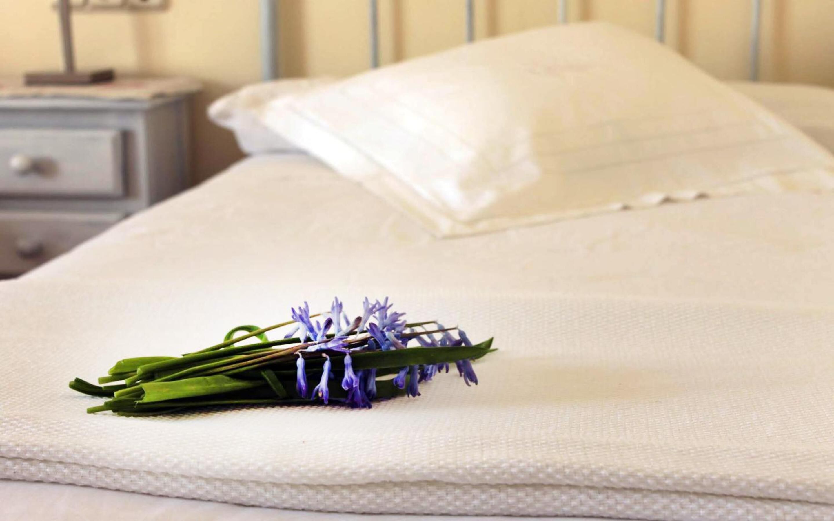 desk, blackout curtains, free wifi