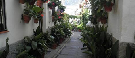 Overnattingsstedets uteområder