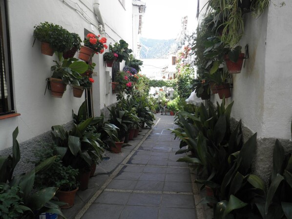 Áreas de la propiedad